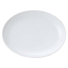 16インチメタ玉プラター玉渕