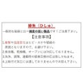浅口二つ仕切緋朱