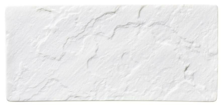 メテオ ビスク26cmレクタングルプレート(ハマ付き) /パーティ大皿