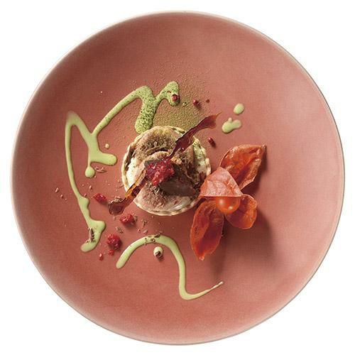 ディナープレートセレクション05 27cmディナー(茜) /パーティ大皿