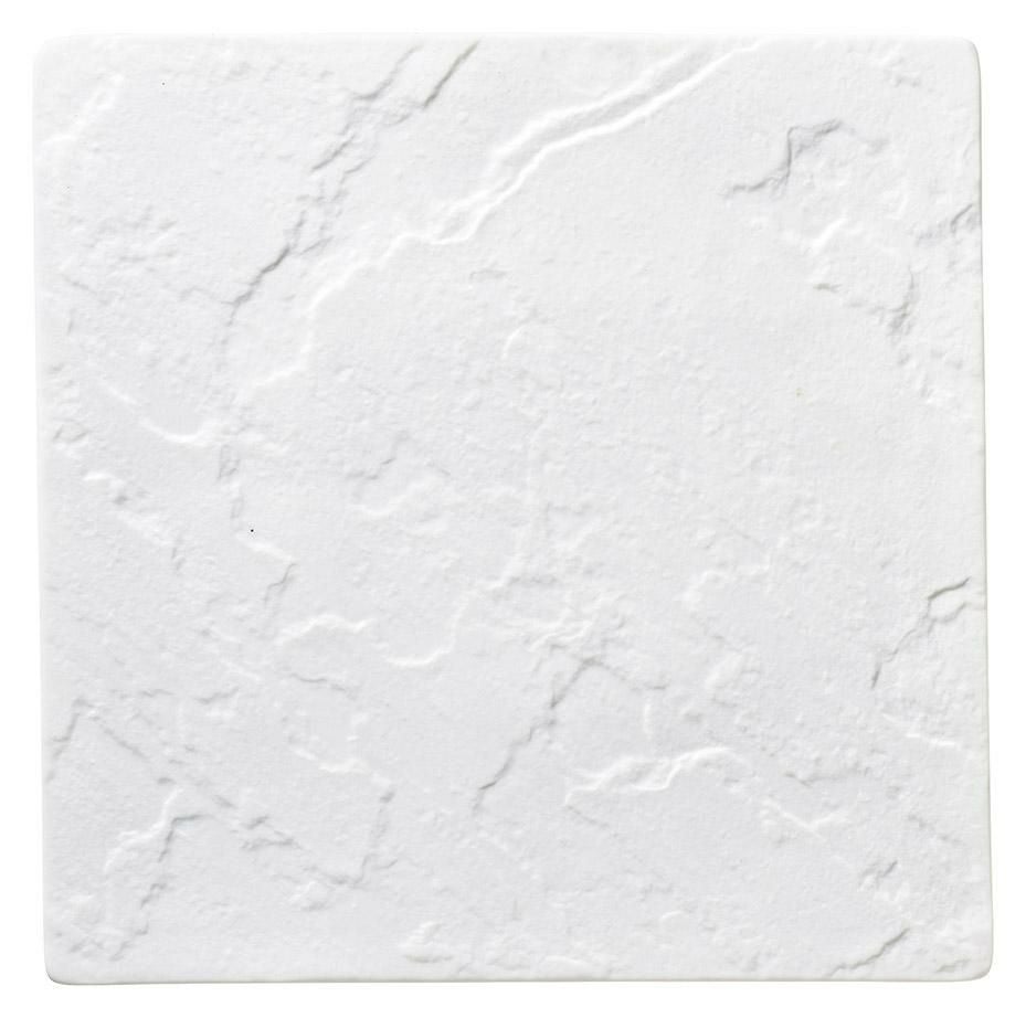 メテオ ビスク27cmスクエアプレート(ハマ付き) /パーティ大皿