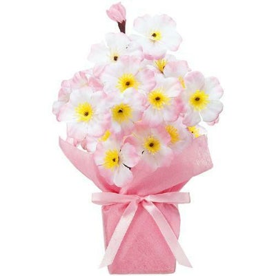 アルファ 桜ローコストポット