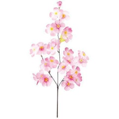 アルファ ニュー大桜スプレー