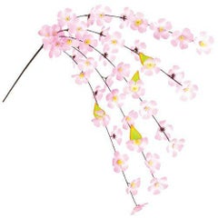 アルファ 桜エコシダレ