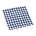 EBM ギンガム チェックナフキン ネイビー 450×450
