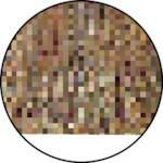 テラモト SP道路ホーキ長柄スペア