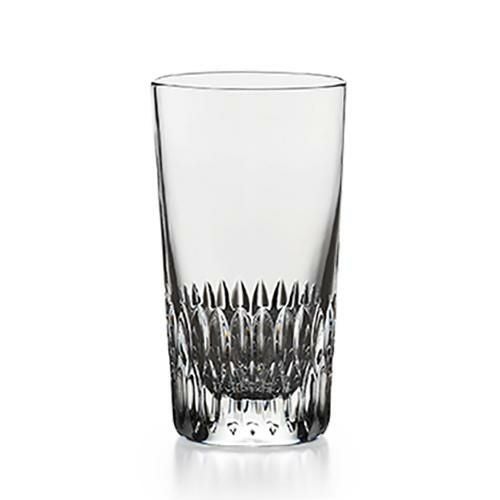 フェニックスエッジ 10TB グラス