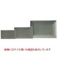 スパッツィオ レクタンギュラープレート ( L ) 28cm グリーン /グループS