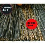 日本クリンテック イイとこ取りほうき ハイブリッドタイプ セミロング木柄