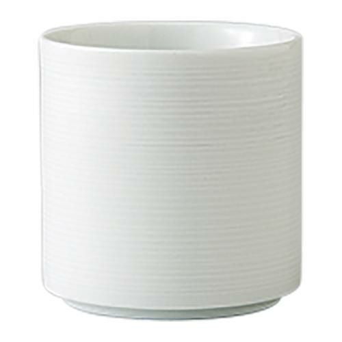 サマー モーニング カップ