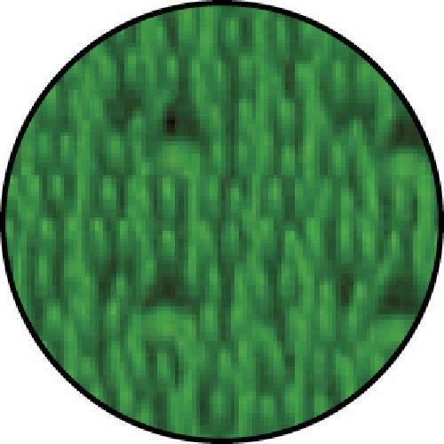 ミヅシマ エルバーマット グリーン 660×960mm