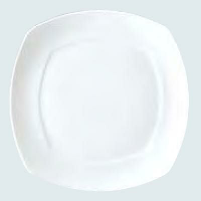 カノン プレート 23.5cm /グループS