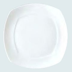 カノン プレート 23.5cm /グループS