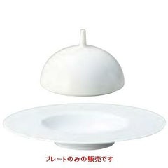 グルメプレート 29cm_エコス