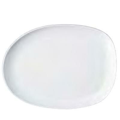 ラージプレート_イゾラホワイト