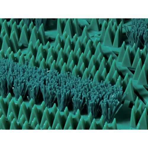 テラモト カラーブラッシュ緑