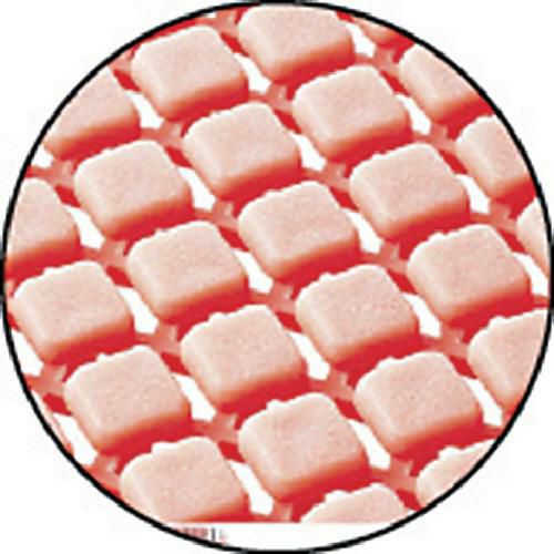 コンドル 素足スノコ 縁駒M ピンク