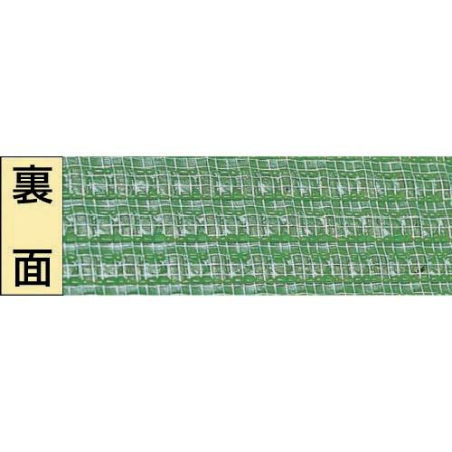 ワタナベ ウインドターフ FT-170 92cm×10m