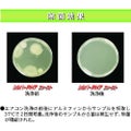 Linda シルバーPH7ファースト10kg