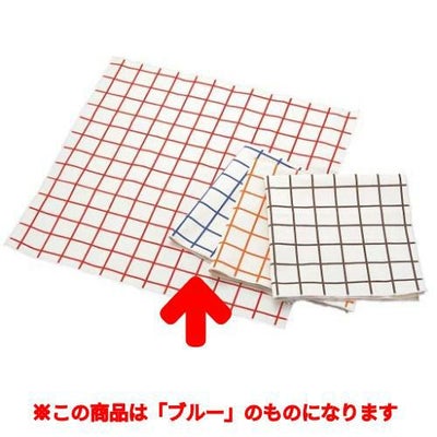 EBM キャンパス厚手 チェックナフキン ブルー 450×450
