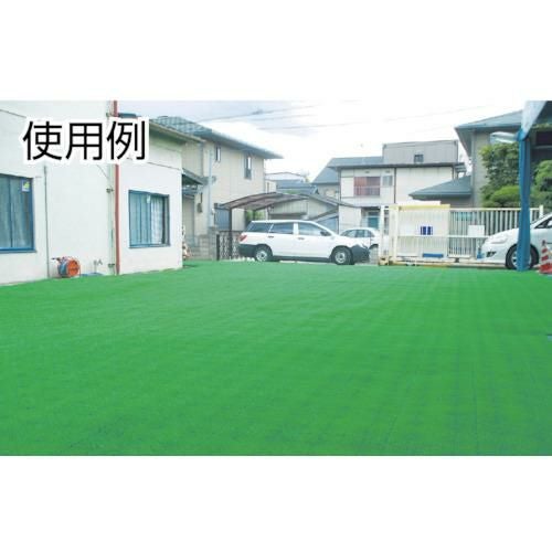 テラモト ユニットターフα中ふちオス