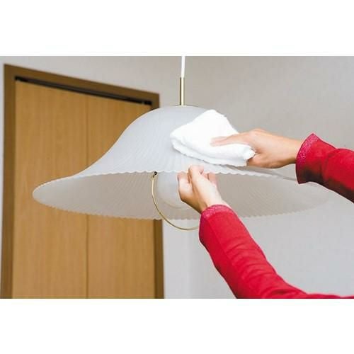 ソフト99 プラスチッククリーナー43g