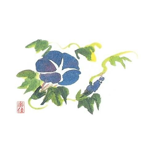 耐油懐敷 18角 朝顔(1000枚入)