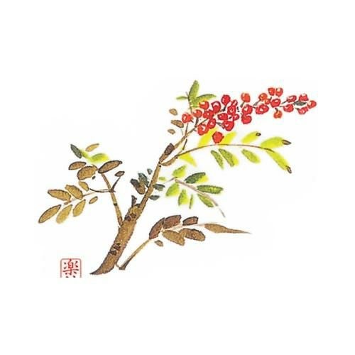 耐油懐敷 18角 南天(1000枚入)