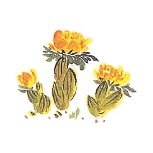 耐油懐敷 12角 福寿草(1000枚入)