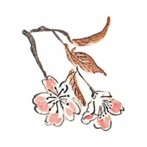 耐油懐敷 12角 桜(1000枚入)