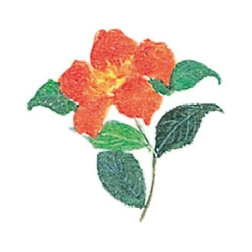 耐油懐敷 12角 椿(1000枚入)