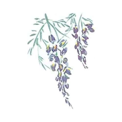 耐油懐敷 12角 藤(1000枚入)