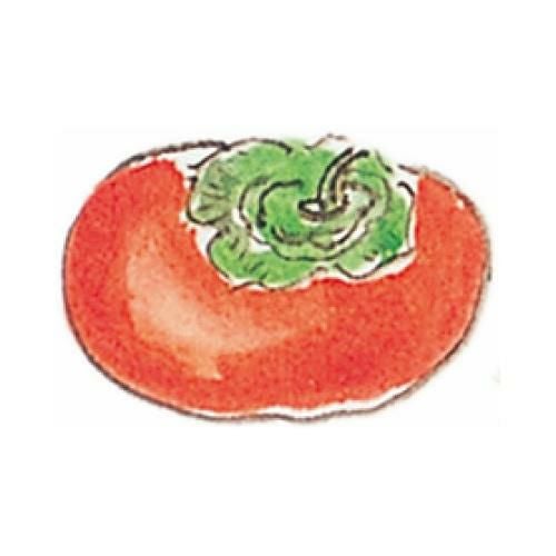 耐油懐敷 18角 柿と栗(1000枚入)