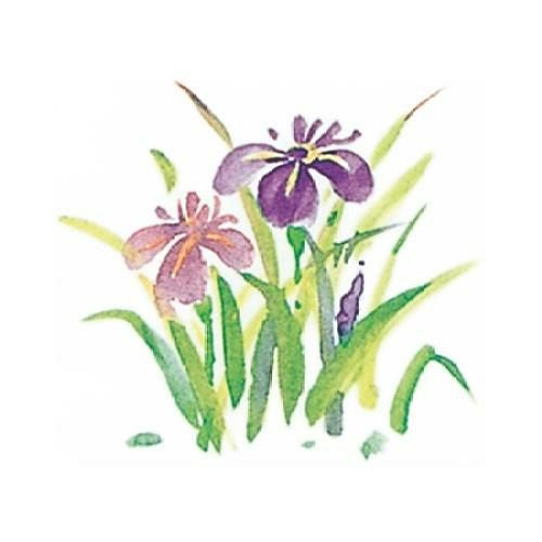 耐油懐敷 15角 あやめ(1000枚入)