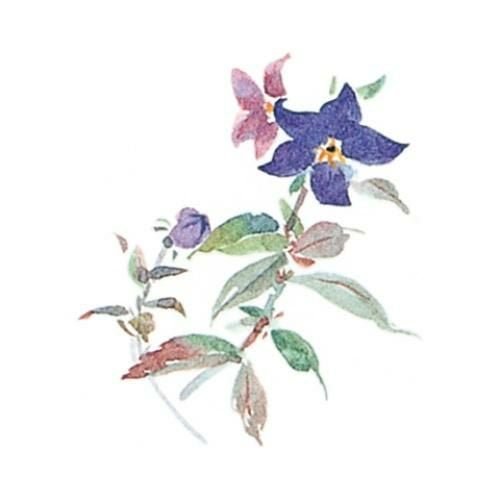 耐油懐敷 15角 ききょう(1000枚)