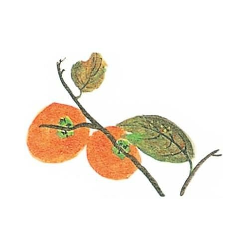 耐油懐敷 15角 柿(1000枚)