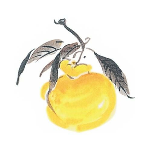 耐油懐敷 15角 ゆず(1000枚)