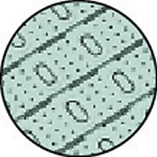 テラモト ロ-ルスノコ 土足用 緑