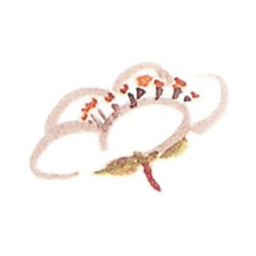 耐油懐敷 18角 梅(1000枚入)