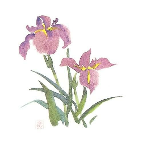 耐油懐敷 18角 あやめ(1000枚入)