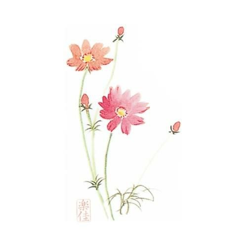 耐油懐敷 18角 秋桜(1000枚入)