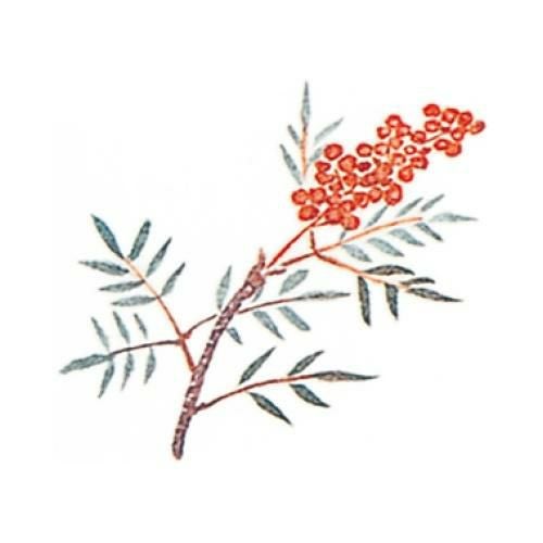 耐油懐敷 12角 南天(1000枚入)