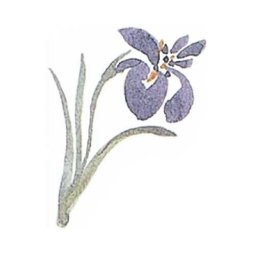 耐油懐敷 12角 あやめ(1000枚入)