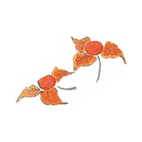 耐油懐敷 12角 ほおずき(1000枚入)