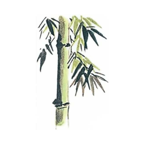 耐油懐敷 12角 竹(1000枚入)