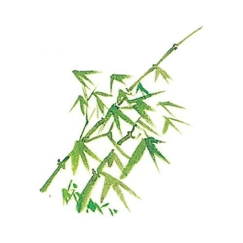 耐油懐敷 15角 竹(1000枚入)