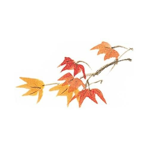 耐油懐敷 15角 もみじ(1000枚)