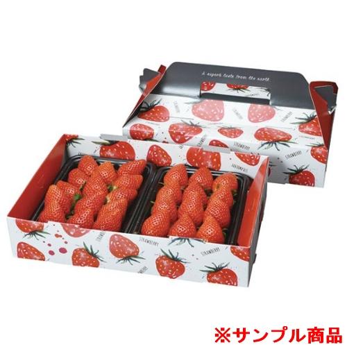 【サンプル】フルーツ容器 パックスタイル PS手提箱イチゴ 2P※イチゴは入っていません 1枚