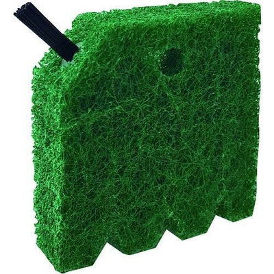 まめいた 焼きアミたわし