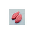 アメ・マジパン用 葉型 シリコンゴム マトファー 80524 桜草 【送料無料】